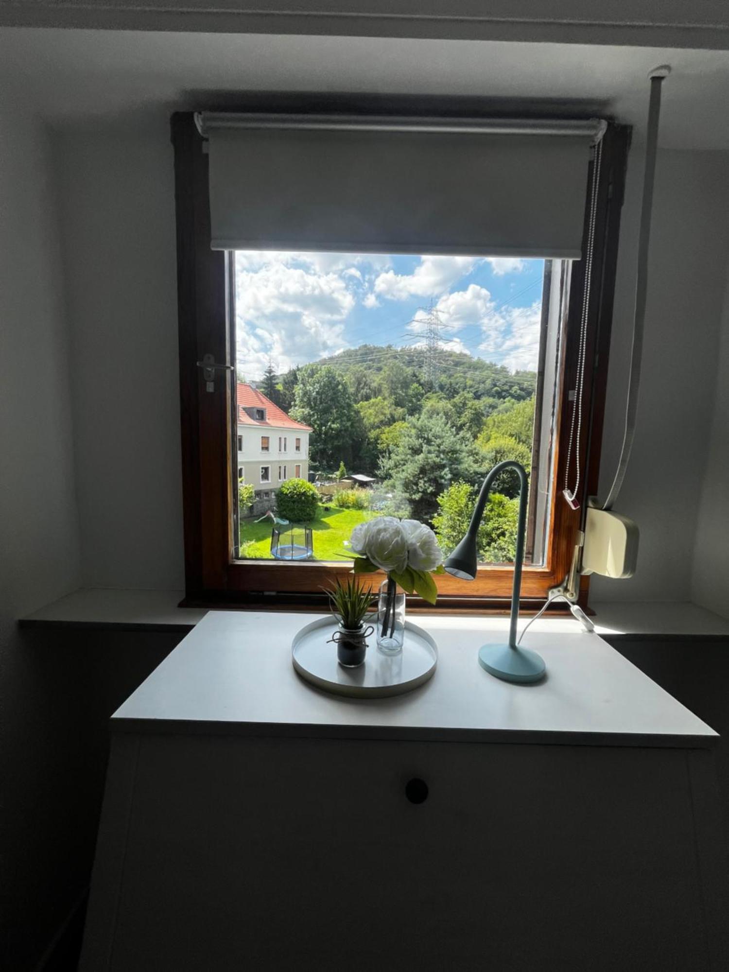 Ferienwohnung Idyllisch Wohnen An Der Ruhr Hattingen Exterior foto