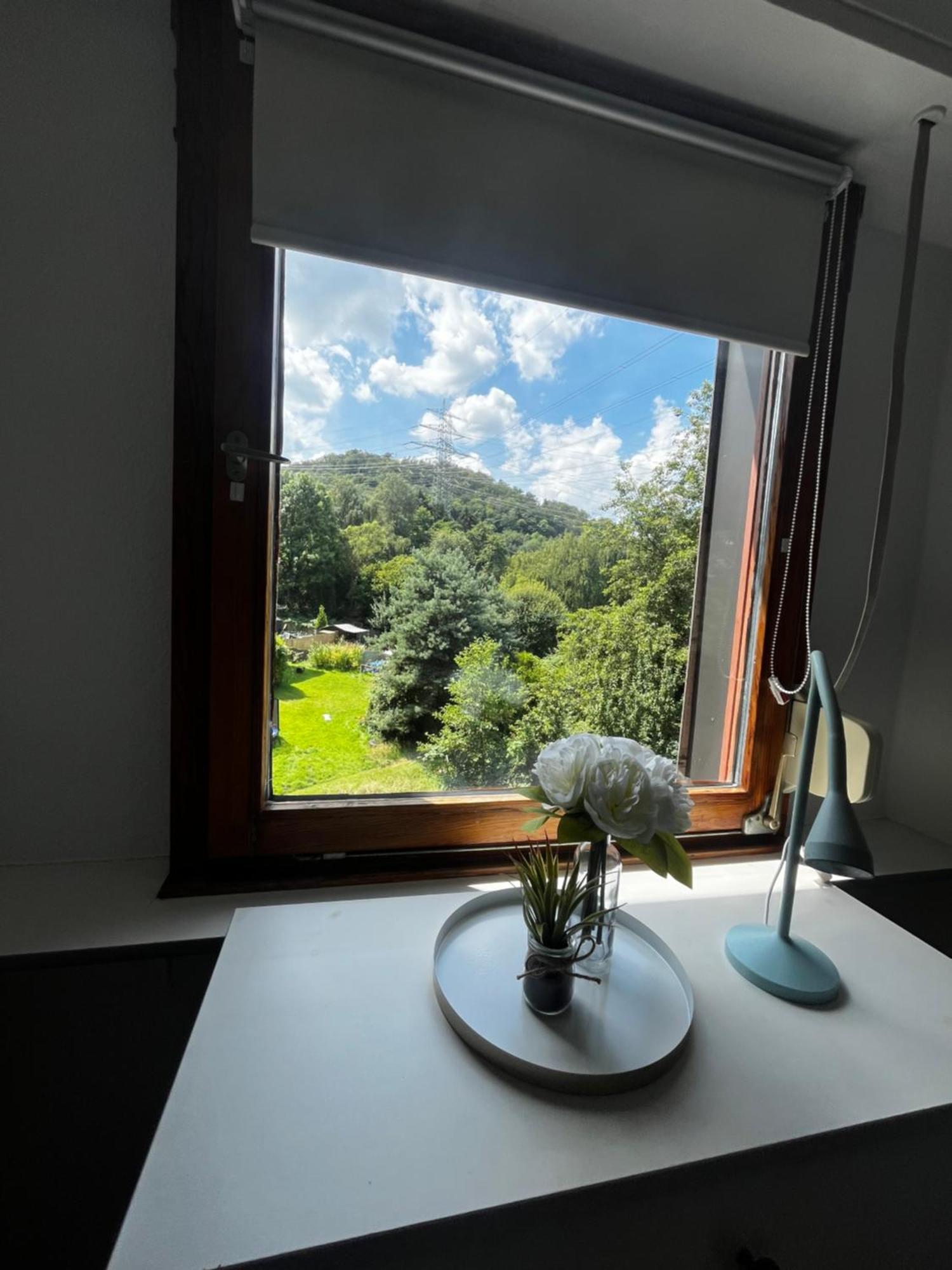 Ferienwohnung Idyllisch Wohnen An Der Ruhr Hattingen Exterior foto